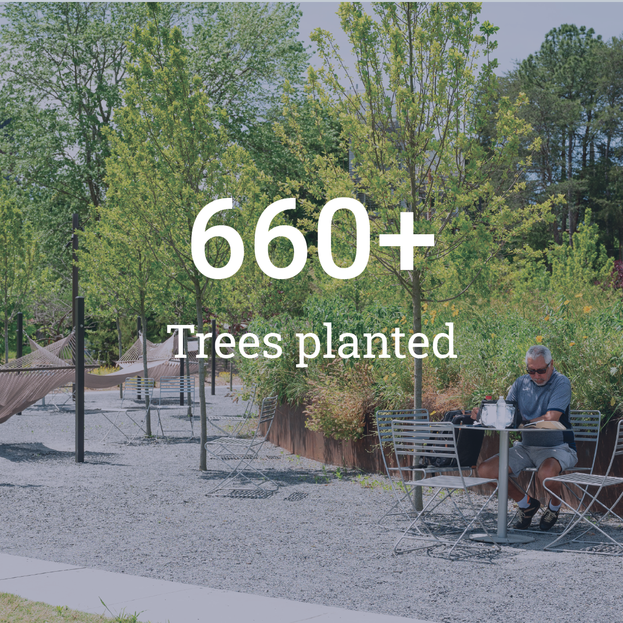 660+ trees