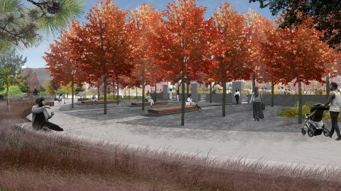 Eco-Commons render of contemplative grove Eco-Commons render of contemplative grove