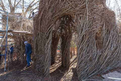 Stickworks Sculpture at the EcoCommons Comes to Life Stickworks Sculpture at the EcoCommons Comes to Life