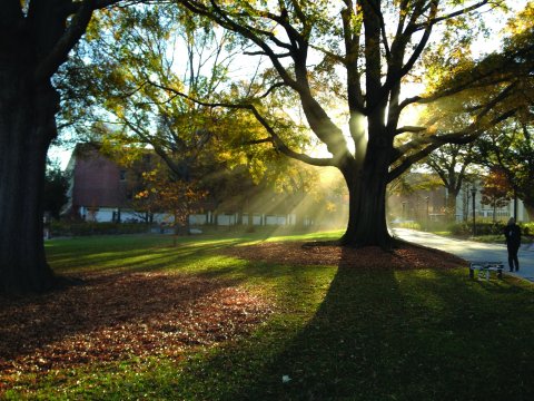 Morning view from the Student Center