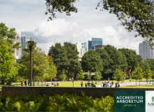 Image of thriving, green Tech campus.